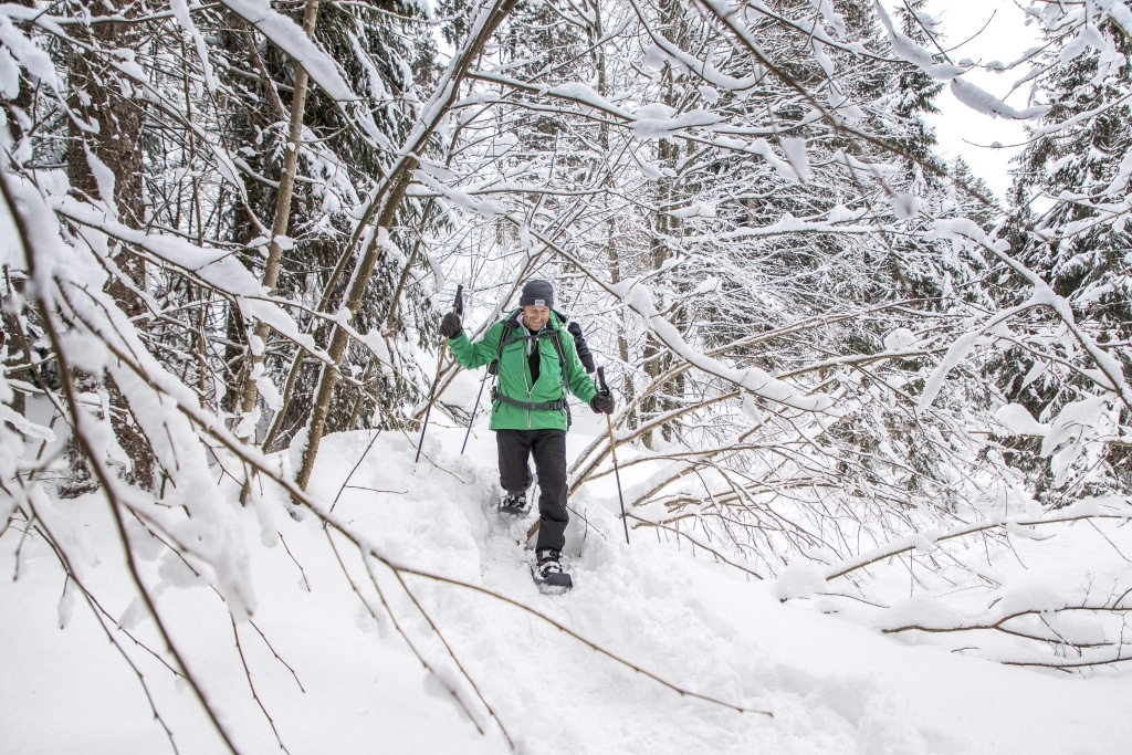 Schneeshuhwandern in Ellmau