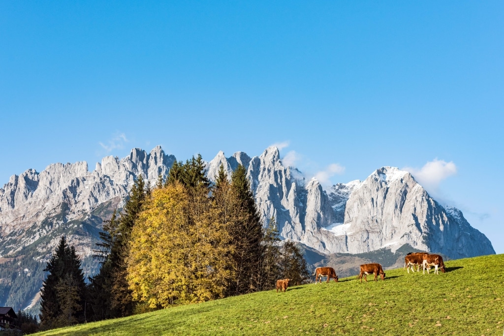 Herbststimmung in Ellmau Hotel Hochfilzer