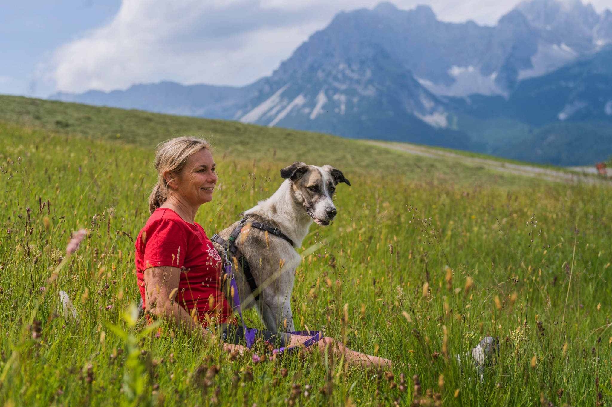 Wandern mit Hund